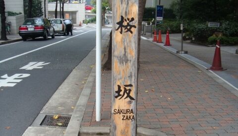 福山雅治さんの「深く反省」から考える、言葉と社会の関係性