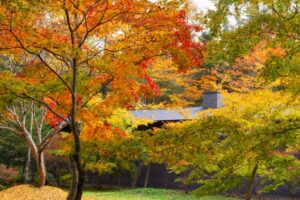 「軽井沢ラグジュリーホテルコンドミニアム開発—リストデベロップメント株式会社 × 株式会社温故知新が描く“所有する滞在”の時代」